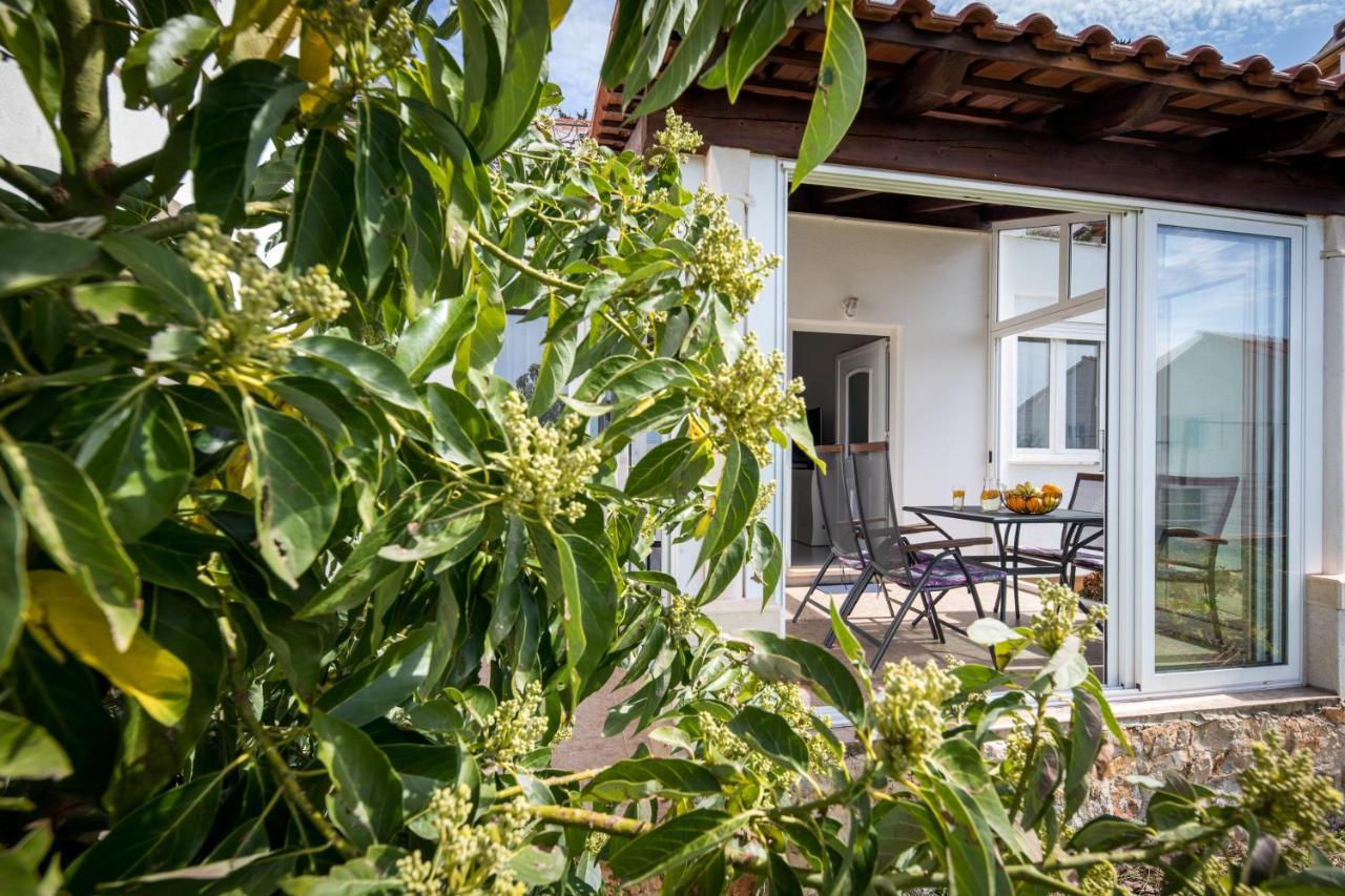 Avocado Apartment Дубровник Экстерьер фото